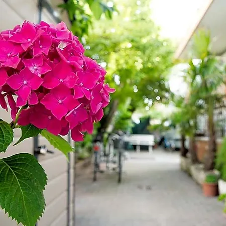 מלון Casa Mia