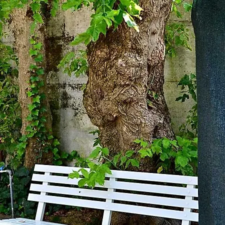 Casa Mia 2* Τζεσόλο Λίντο
