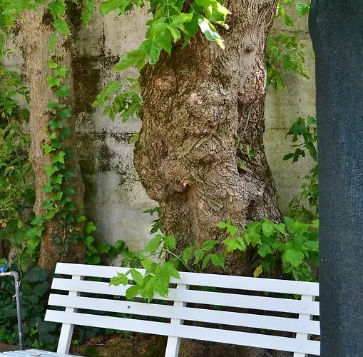 Casa Mia 2* Lido di Jesolo