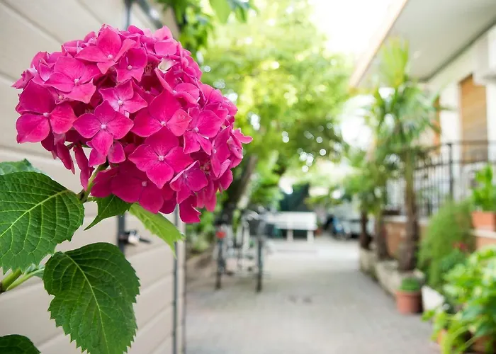 Casa Mia Szálloda Lido di Jesolo