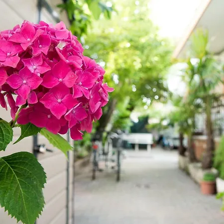 Casa Mia Hotel Lido di Jesolo